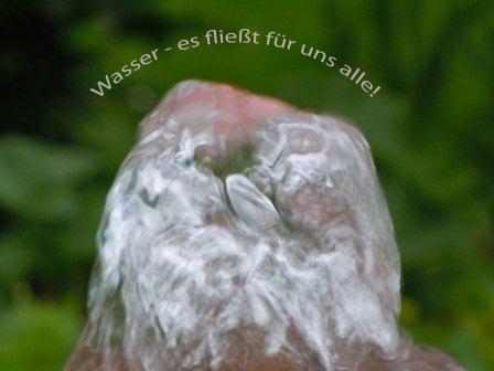 wassermenschenrechtklein